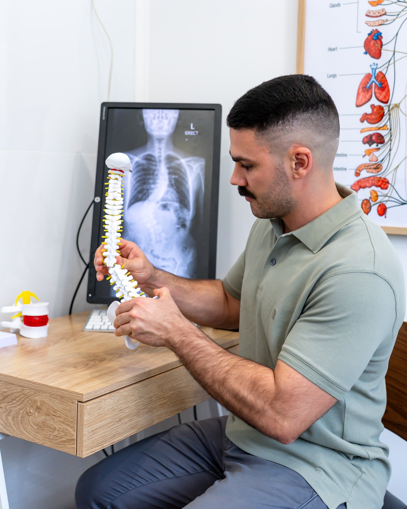 Alma Health chiropractor holding a spine model while explaining spinal health